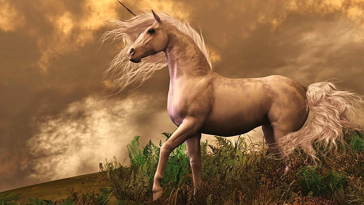 horse, unicorn, legendary creature, folklore, myth, mythology, HD wallpaper