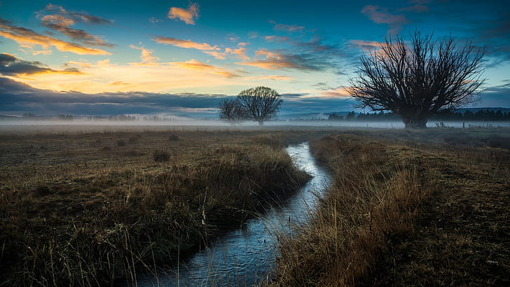 Nature, trees, field, fog, stream, dawn, HD wallpaper
