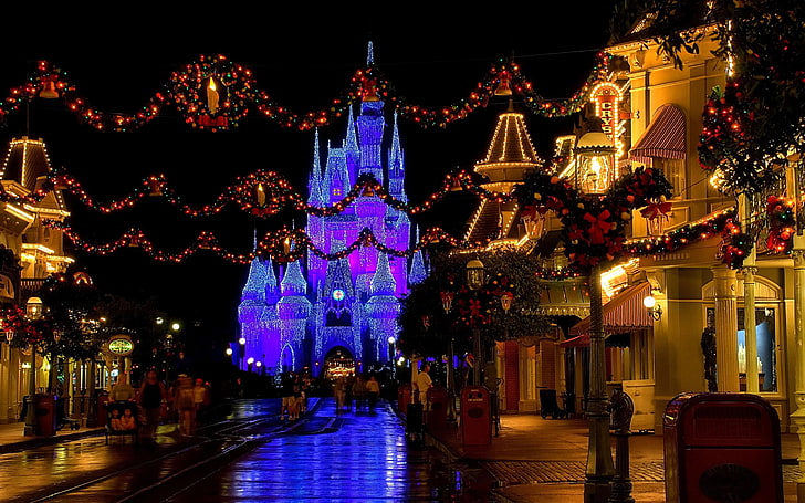 Disney Castle, decoration, lights, street, the evening, Christmas, HD wallpaper