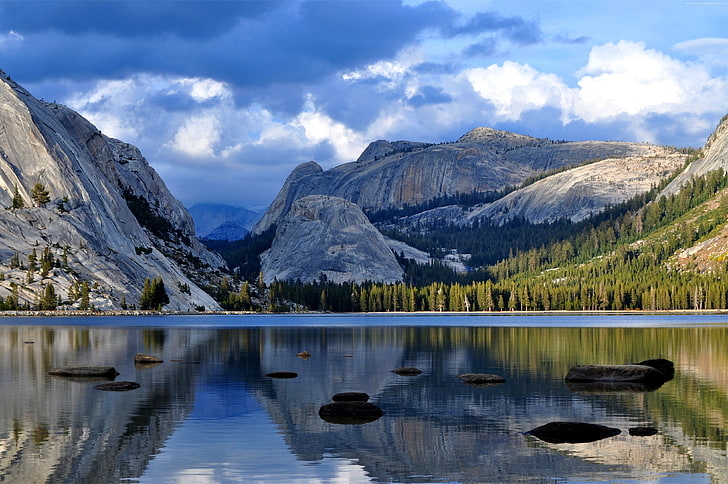 Half Dome, forest, lake, National Park, 4K, California, Yosemite, HD wallpaper