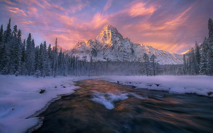 Canada, Alberta, Banff national Park, winter, forest, river, stream, snow, HD wallpaper