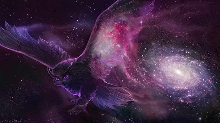 HD wallpaper: purple and pink owl illustration, Birds, Galaxy, Stars, animal  themes | Wallpaper Flare