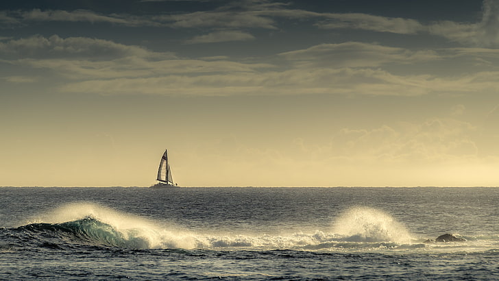 white sail boat, sea, sky, water, horizon, horizon over water