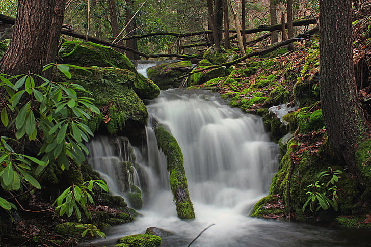 waterfall near tall trees, Fall Creek, Revisited, Pennsylvania, HD wallpaper