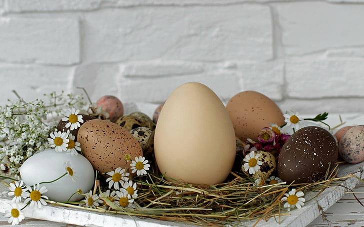 Easter, holiday, eggs, Krashenki, stand, wall, hay, flowers, daisies, egg lot, HD wallpaper