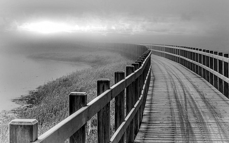 black and gray metal frame, landscape, nature, monochrome, walkway