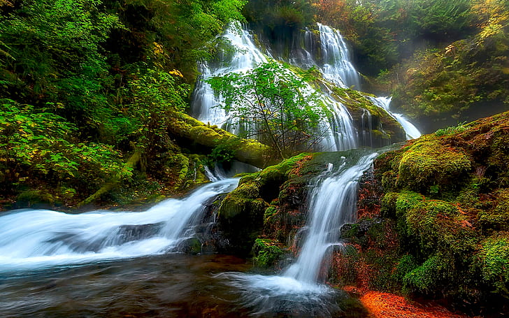 Natural Beauty Panther Creek Falls Columbia River District Skamejnija Washington Usa Hd Wallpaper For Laptop And Tablet 2560×1600