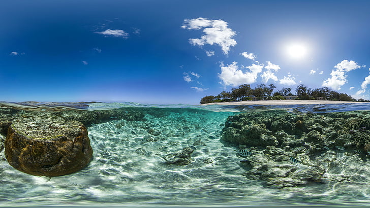 sea rock, underwater, fishes, coral reef, sunshine, sunny day