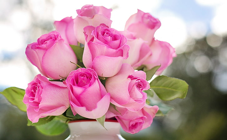 Pink Roses Buds, pink roses, Cute, Nature, Summer, Love, Flowers, HD wallpaper