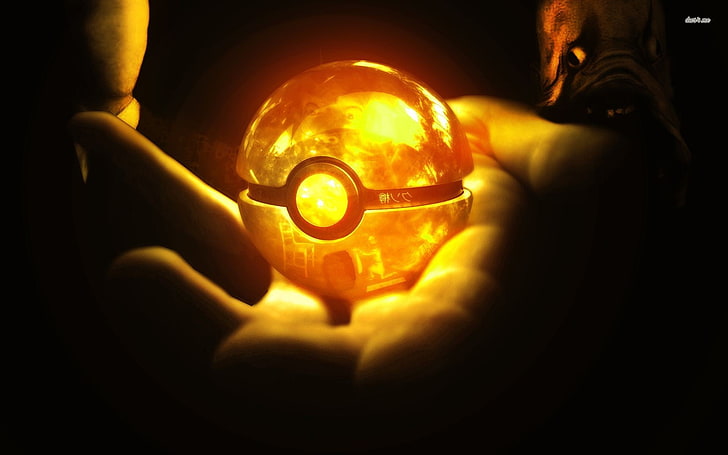 person holding LED pokeball, Pokémon, Poké Balls, video games, HD wallpaper