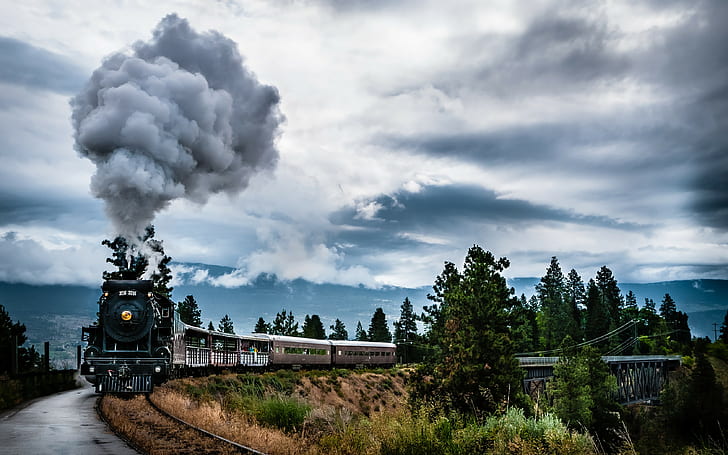 nature, landscape, train, machine, smoke, trees, clouds, bridge