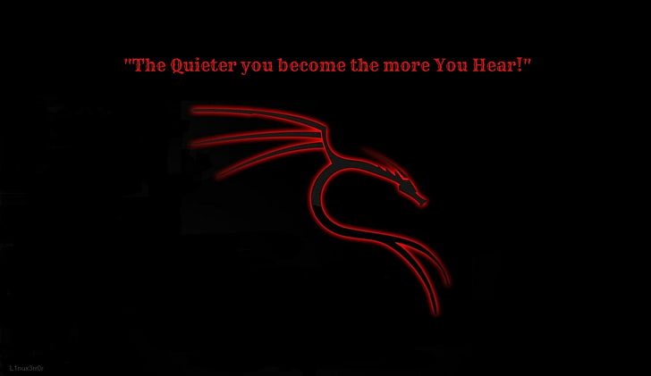 red and black LED light, dragon, quote, text, night, illuminated, HD wallpaper