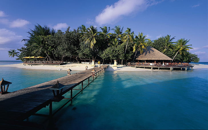 Angsana Resort Maldives, brown wooden ocean dock, beach, nature, HD wallpaper