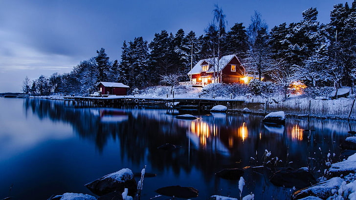 snow, house, lake, evening, shore, winter, tree, cold temperature