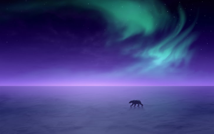 Aurora Borealis, Northern Lights, Horizon, Polar bear