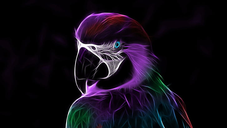 abstract, digital art, parrot, light, artwork, darkness, beak