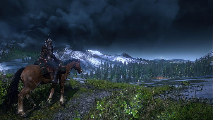 The Witcher 3: Wild Hunt, looking into the distance, mountain, HD wallpaper