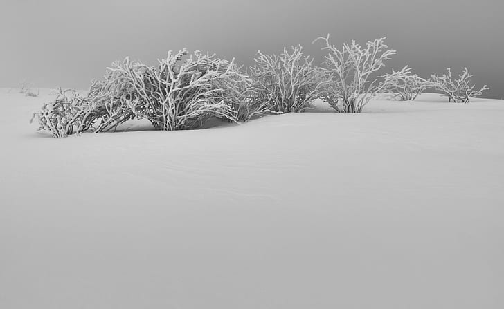 HD wallpaper: Winter White Snow Aesthetic Black and White, Seasons, Nature  | Wallpaper Flare