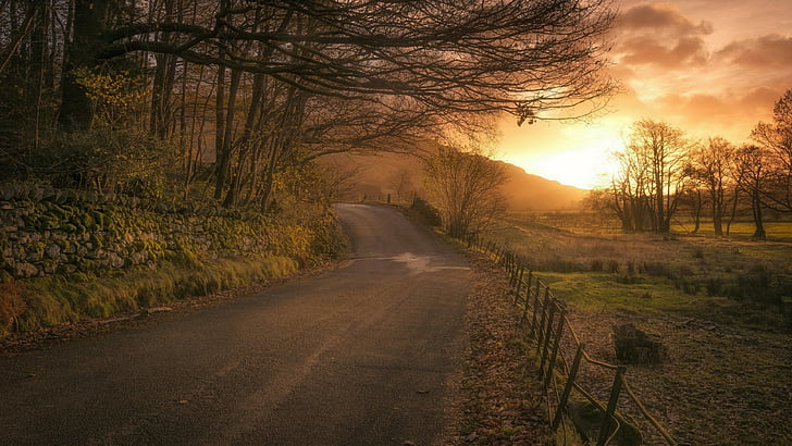 road, sunset, sky, countryside, tree, evening, rural area, landscape