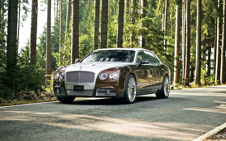 2014 Mansory Bentley Flying Spur, brown-and-white bentley flyin spur, HD wallpaper