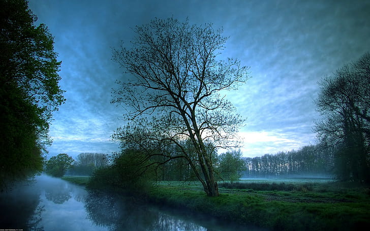 landscape, river, forest, sky, nature, trees, mist, morning, HD wallpaper
