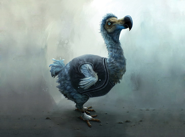 Dodo bird 1080P, 2K, 4K, 5K HD wallpapers free download | Wallpaper Flare