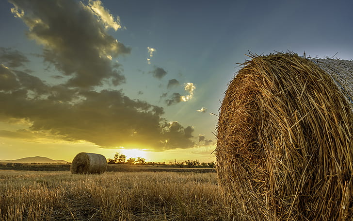 Hay Field Sunset Clouds HD, nature, HD wallpaper