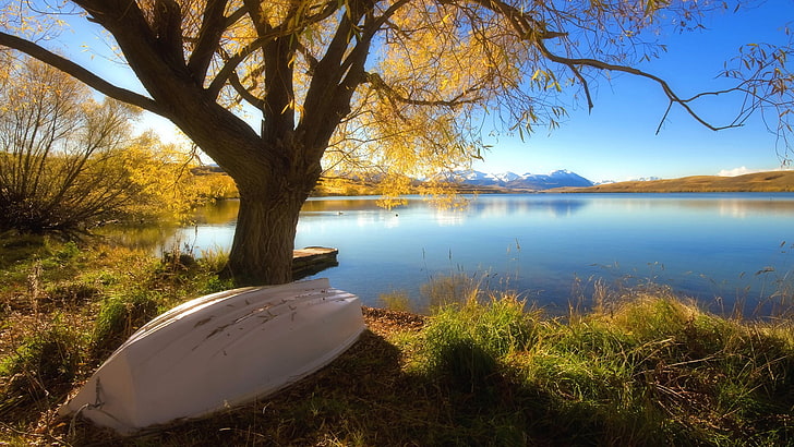 white boat, nature, landscape, fall, water, plant, tree, lake