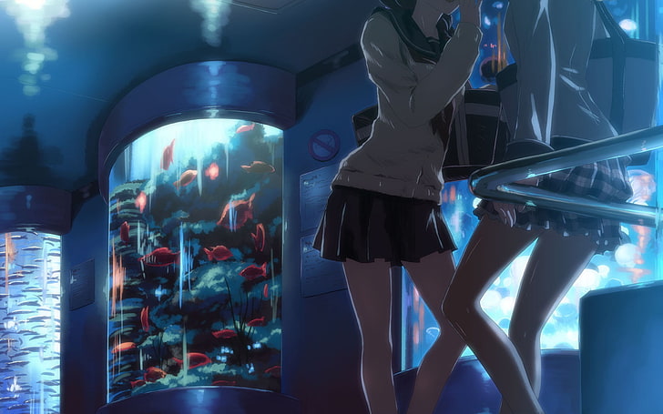 two women anime characters, anime girls, school uniform, original characters, HD wallpaper