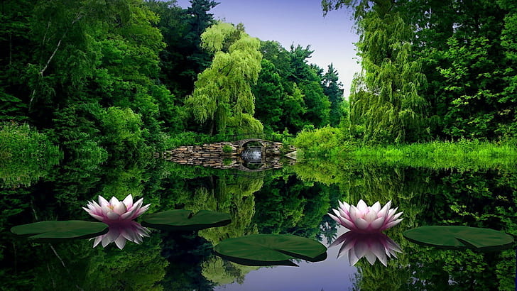 nature, water lilies, lake, garden, trees, reflection, bridge