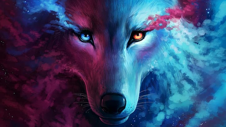 wolf, pink, blue, orange
