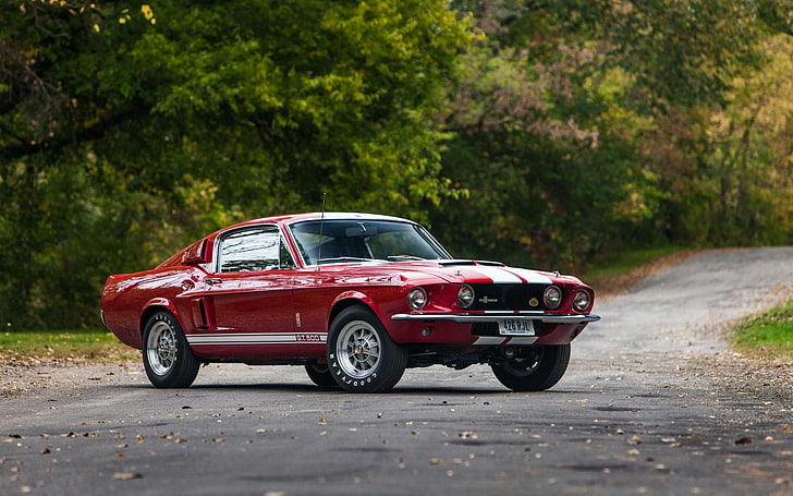 red Ford Mustang coupe, background, Shelby, GT500, Muscle car, HD wallpaper
