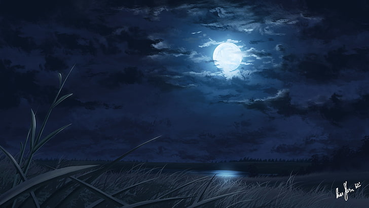 moonlight, lake, field, clouds, artwork, reeds, Fantasy, sky, HD wallpaper