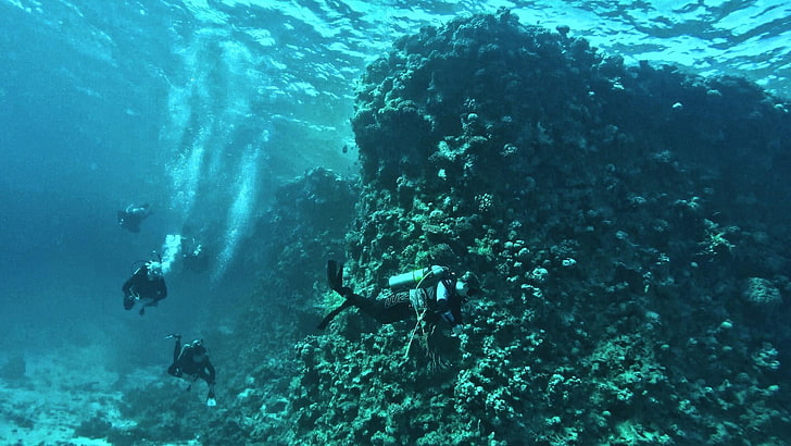 underwater, marine, sea, underwater diving, coral reef, scuba diving, HD wallpaper