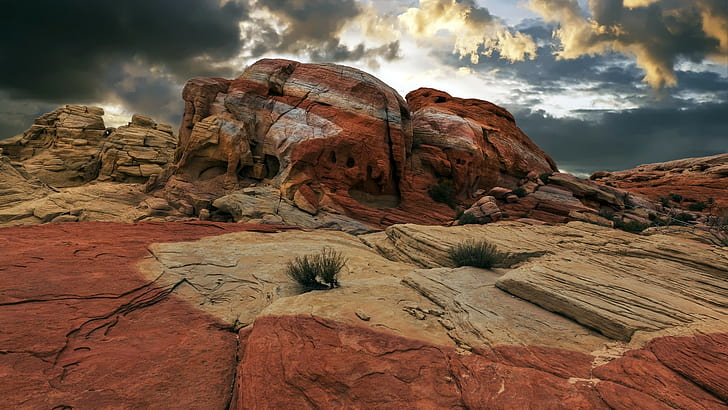 USA, Arizona, nature, landscape, mountains, rocks, valley, plants, HD wallpaper