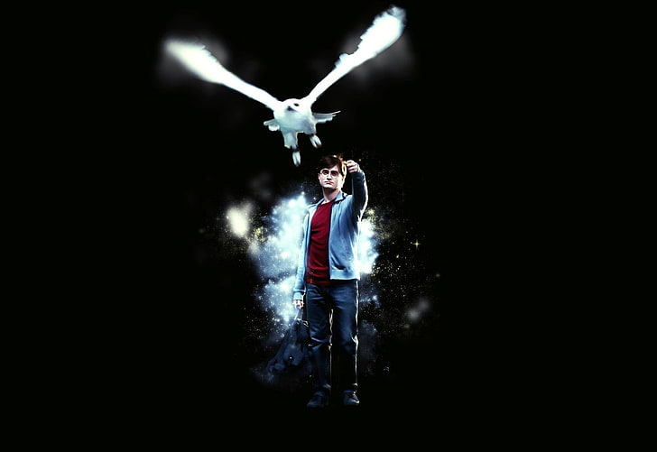 HD wallpaper: harry potter and the deathly hallows part 1, night, one  person | Wallpaper Flare
