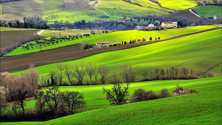 Italy, landscape, field, trees, hills, nature, green, plant, HD wallpaper