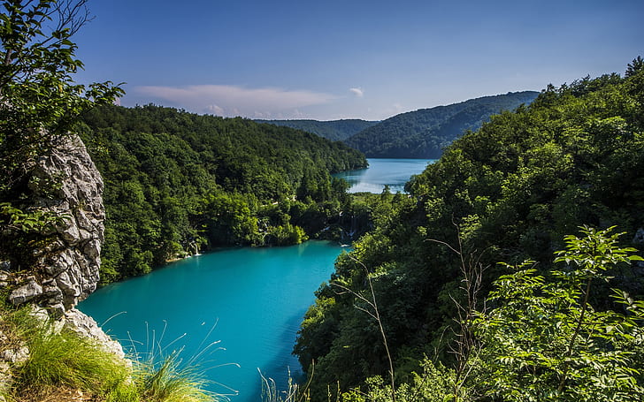 Croatia, Plitvice lakes national park, trees, greenery, nature landscape, HD wallpaper
