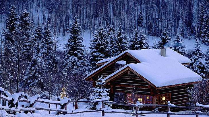 Christmas, snow, pine trees, cabin, winter, cold temperature, HD wallpaper