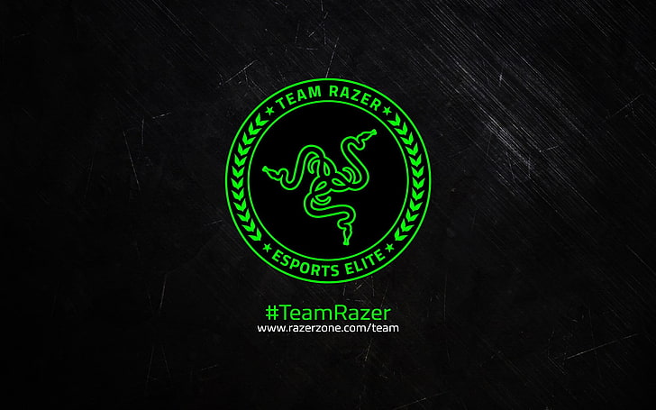 Razer logo, text, communication, sign, green color, illuminated