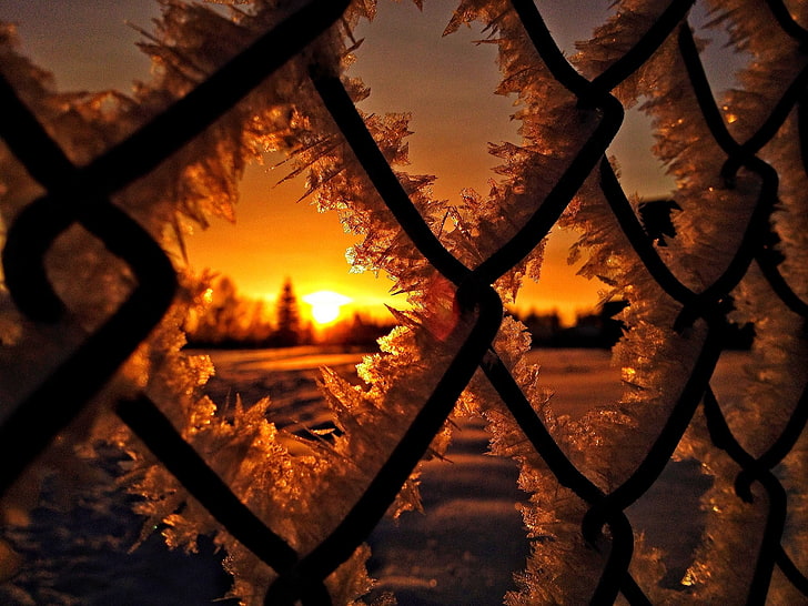 black hog wire, fence, ice, snow, winter, silhouette, nature, HD wallpaper