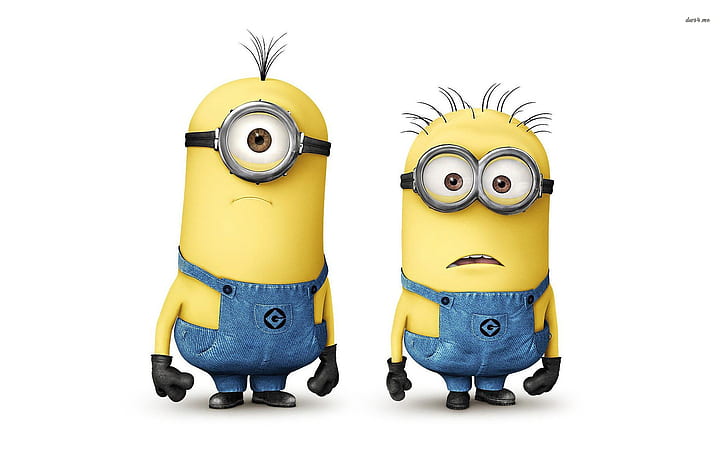 Tim And Phil Despicable Me Minions  Photoshoot, HD wallpaper