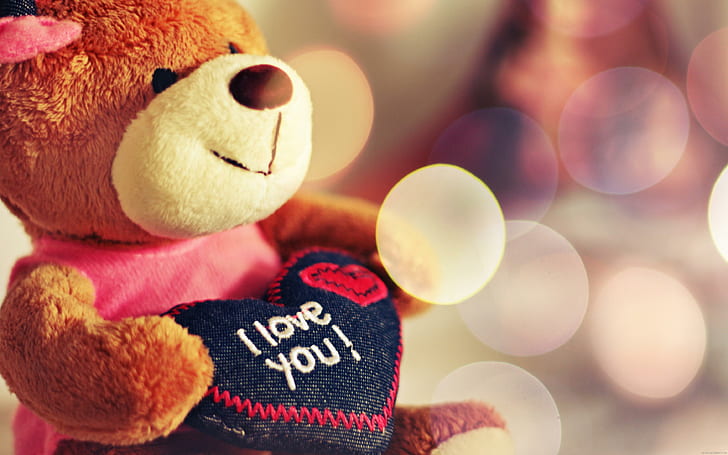 So cut little teddy bear with a cushion I Love you, brown and white teddy bear, HD wallpaper