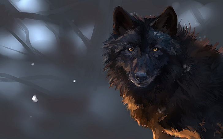 black wolf wallpaper, one animal, domestic, mammal, domestic animals