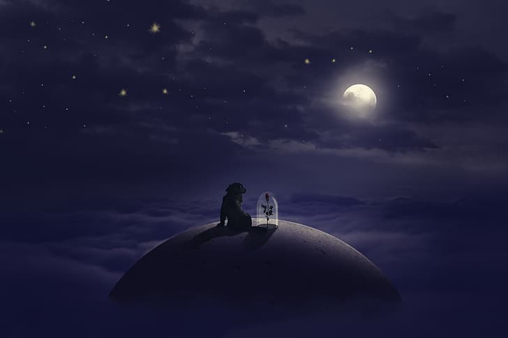 flower, stars, clouds, dog, The moon, little prince, The Little Prince, HD wallpaper
