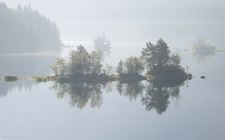 nature, photography, landscape, lake, trees, mist, calm waters, HD wallpaper