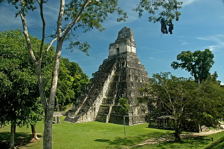 Piramide Del Gran Jaguar, Peten Guatemala, mayan, ancient, pyramid, HD wallpaper