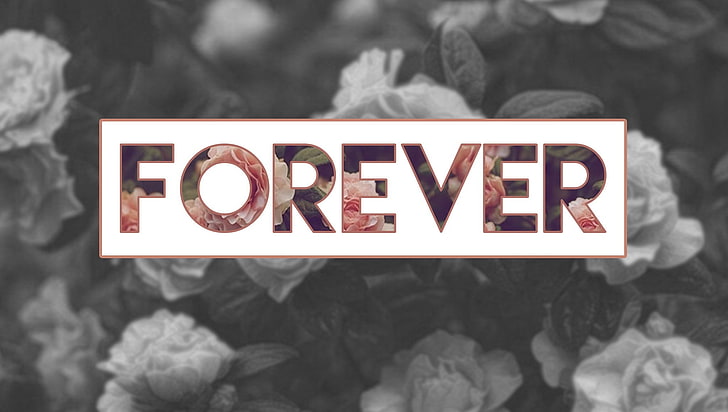 floral Forever wallpaper, rose, quote, text, communication, western script, HD wallpaper