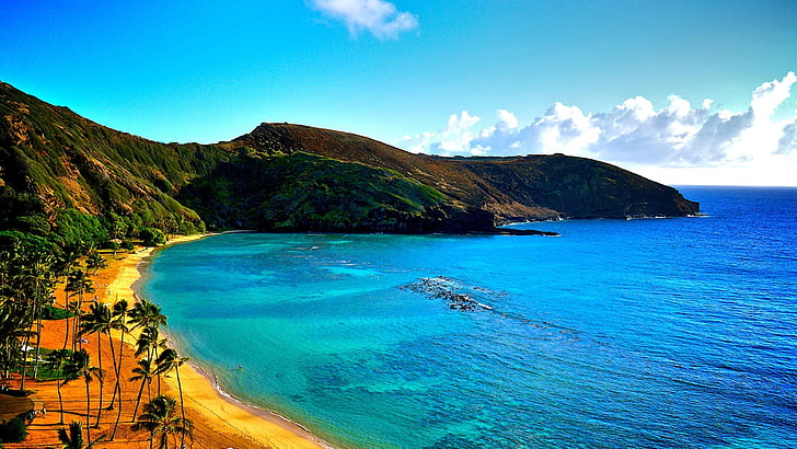 hawaii, coast, blue ocean, palms, wind, blue sky, summer, scenics - nature, HD wallpaper