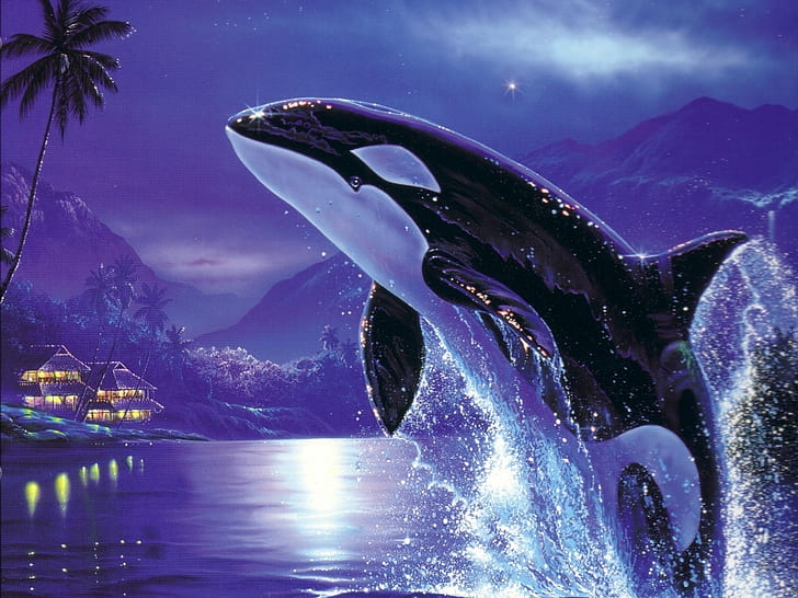 HD wallpaper: killer Whales, ocean, orcas, water | Wallpaper Flare